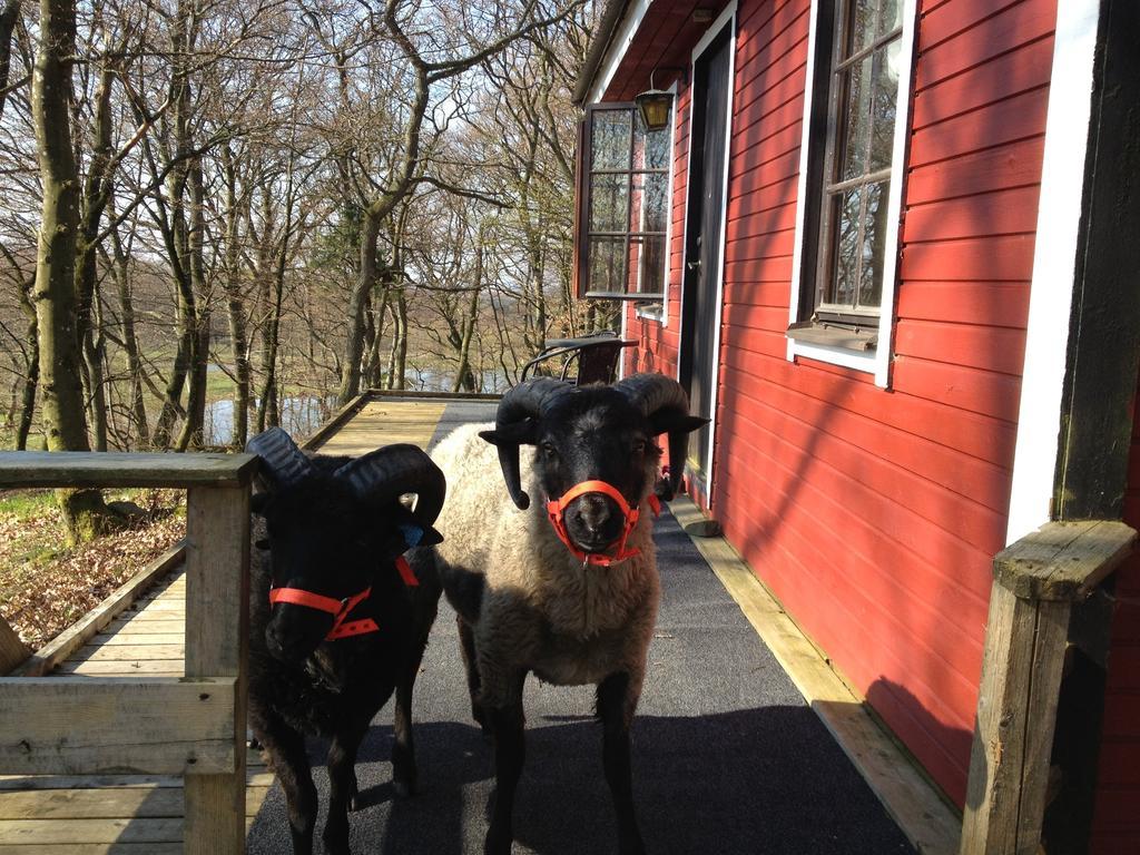 Farm Stay Happy Dogs Ranch Veberöd 외부 사진