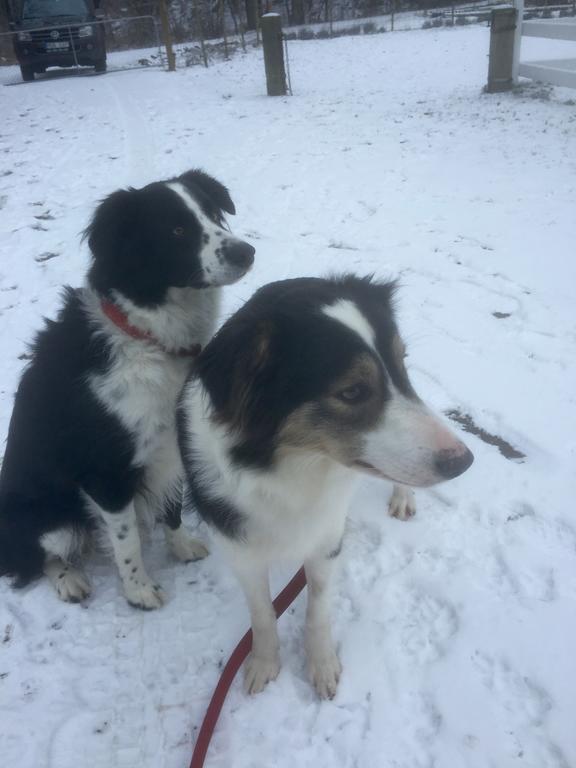 Farm Stay Happy Dogs Ranch Veberöd 외부 사진