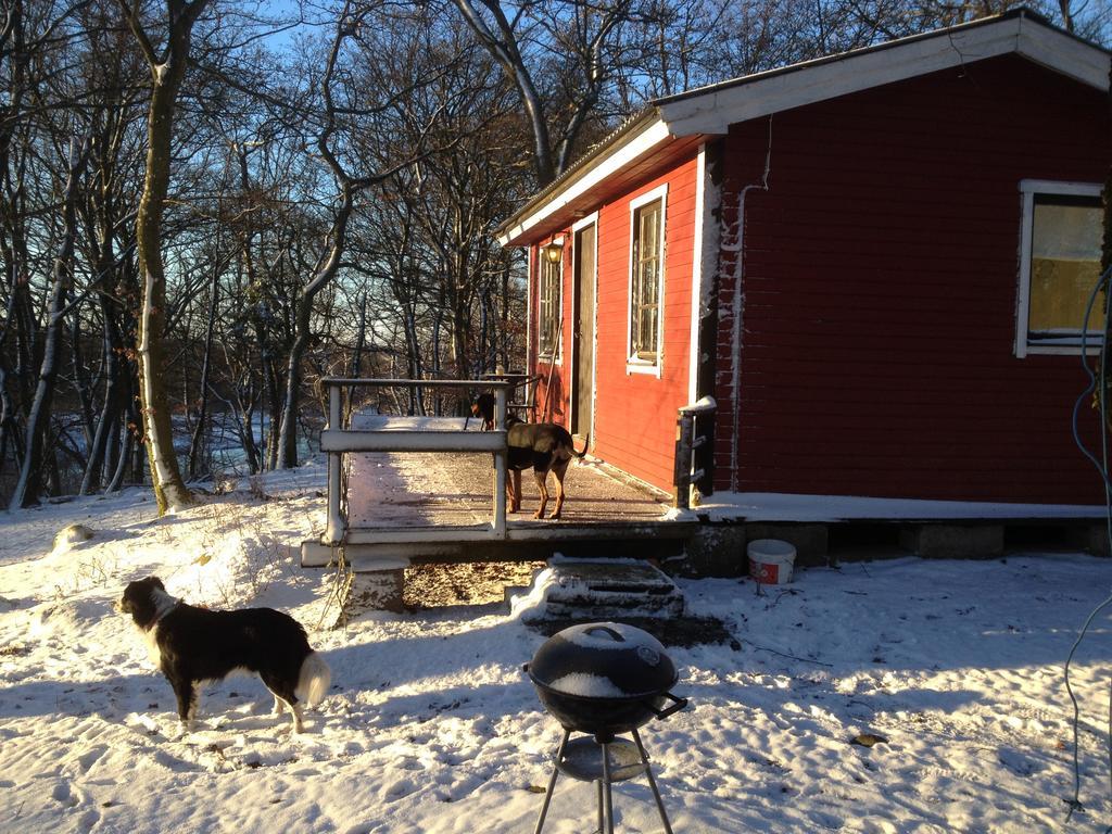 Farm Stay Happy Dogs Ranch Veberöd 외부 사진