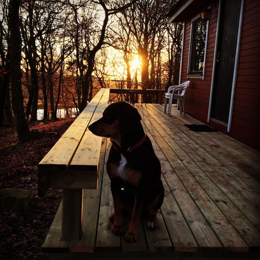 Farm Stay Happy Dogs Ranch Veberöd 외부 사진